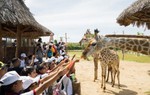 Ưu đãi chưa từng có từ Vinpearl Land & Safari cho người miền Trung, Tây Nam bộ